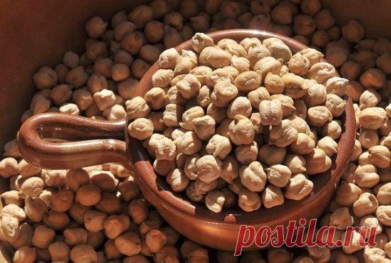 Укрепляйте иммунитет и костную ткань !
Нут – это мелкие бобы коричнево-зеленого цвета, по форме напоминающие совиную или баранью голову (отсюда и название).
Нут имеет приятный ореховый привкус. Вареный измельченный нут, доведенный до консистенции пюре, является питательной закуской – «хумус». Это паста из нута.
Ее можно мазать на хлеб, гренки, подавать к свежим овощам или основным блюдам в качестве соуса. В хумусе много витаминов и растительного белка, кальция, фосфора, магния и калия – во вр