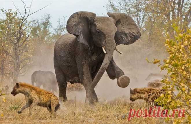 Valeri Denisov
загружено 26.07.2015
Альбом: ПРИРОДА