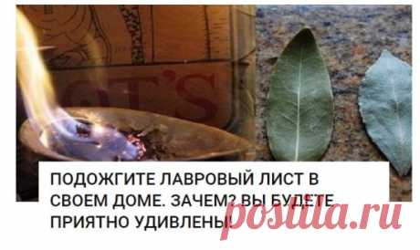 Каждый дом обладает своим ароматом. У кого-то он пахнет духами или кофе, у других же домашней едой или теплым молоком. Но бывают жилища, в которых присутствует запах невероятной свежести и чистоты. При этом вы чувствуете себя там очень уютно, так как это не искусственный запах освежителя воздуха.
Очень может быть, что эти люди знают способ, которым пользовались древние греки и римляне. Они применяли лавровый лист не только в кулинарии, но и использовали его для очищения по...