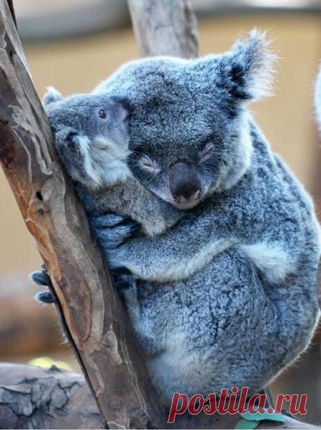 Just a loving mom. - Imgur