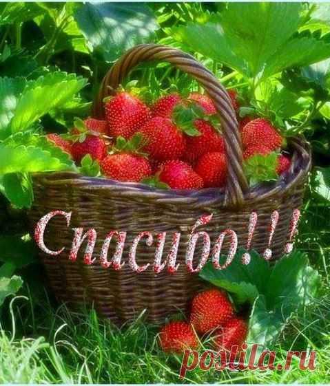 ДЛЯ ВАС ДРУЗЬЯ