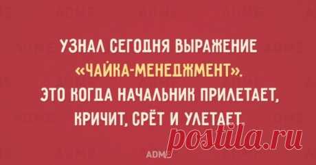 40 совершенно новых слов рожденных в английском языке, и вошедшие в российский