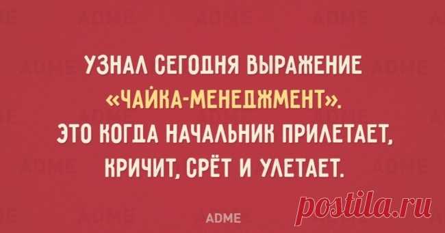 40 совершенно новых слов рожденных в английском языке, и вошедшие в российский
