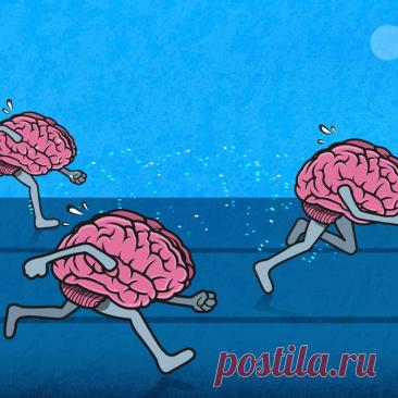 Исследователи и специалисты обсуждают связь регулярного бега, концентрации и когнитивного самочувствия, не утверждая, что бег автоматически делает человека умнее.
