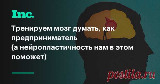 Тренируем мозг думать, как предприниматель (а нейропластичность нам в этом поможет)
