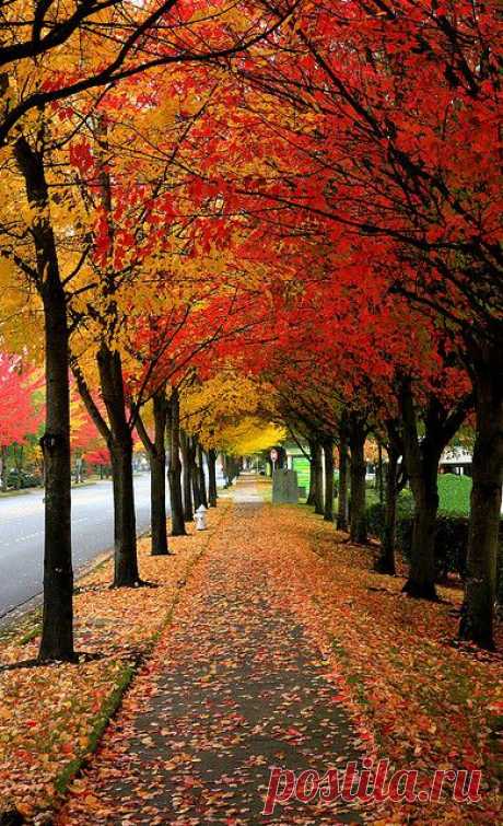 Noelito Flow.  
Autumn.  |  Pinterest • Всемирный каталог идей