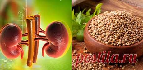 Очень эффективное природное средство для лечения почек, поджелудочной железы и печени