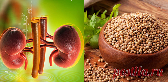 Очень эффективное природное средство для лечения почек, поджелудочной железы и печени