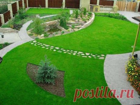 Газон после зимы: восстановление и уход