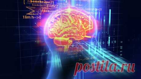Эксперт рассказал, чем опасна технология вживления чипа Neuralink в мозг