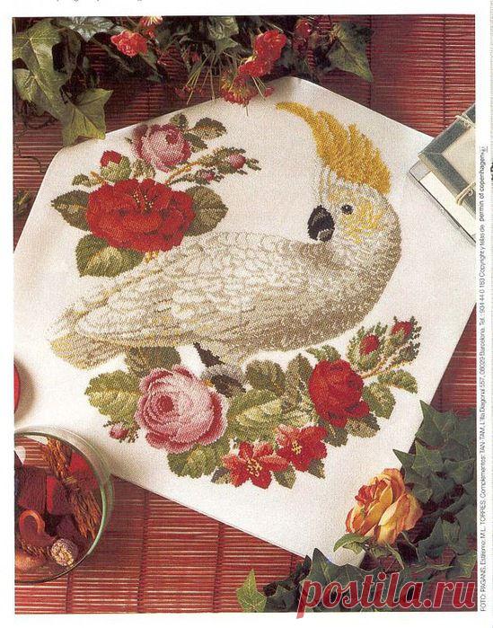 Схема вышивки попугая. Вышивка крестом птиц | Laboratory household