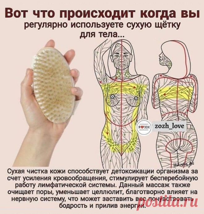 Массаж тела сухой щеткой