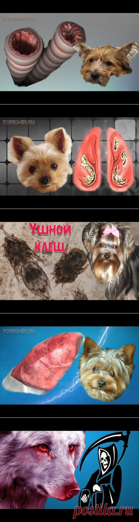 ЧТО БУДЕТ, ЕСЛИ НА СОЛНЦЕ ВЫЛИТЬ ВЕДРО ВОДЫ? - YouTube