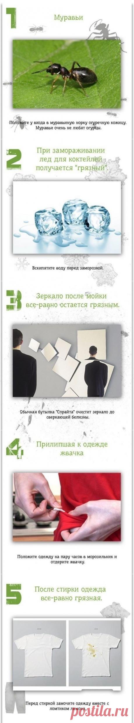 Идеи для жизни | Хитрости Жизни