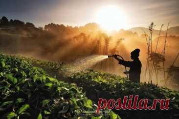 Удивительные фотографии Китая