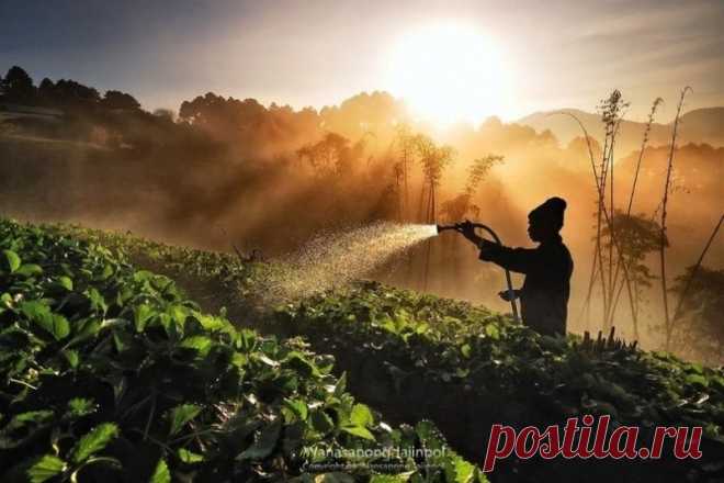 Удивительные фотографии Китая