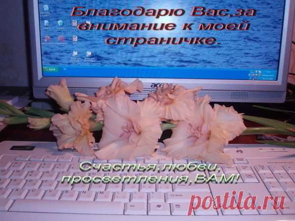 БЛАГОДАРНОСТИ - 50 фото. Фотографии zoja simonova.