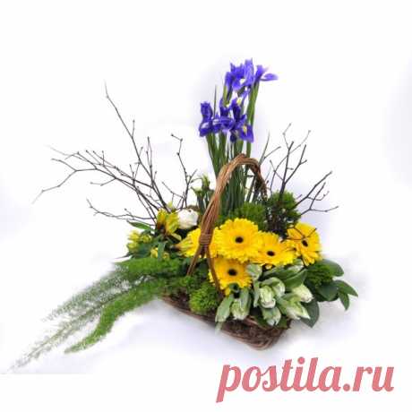 Заказать Солнечный остров c доставкой по Краснодару