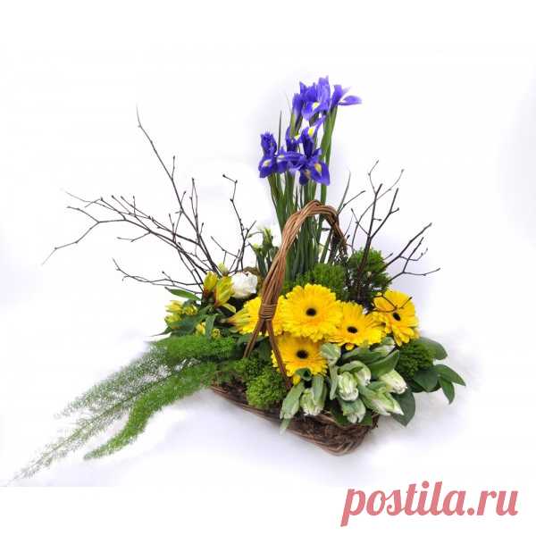 Заказать Солнечный остров c доставкой по Краснодару