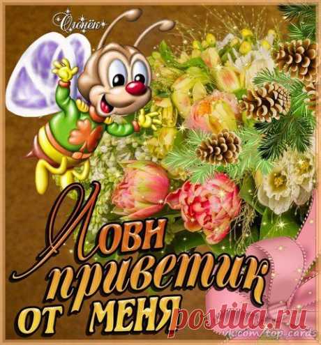 Открытка Лови Приветик от Меня. - анимационные картинки и gif открытки. #открытка #открытки #приветик #привет