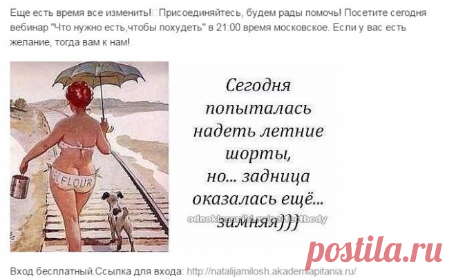 (80) Одноклассники