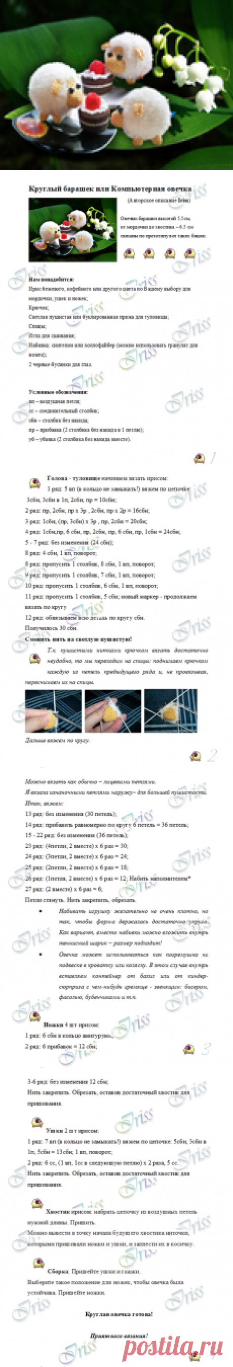 МК по Круглому барашку