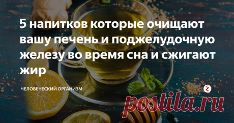 5 напитков которые очищают вашу печень и поджелудочную железу во время сна и сжигают жир | Человеческий организм | Яндекс Дзен