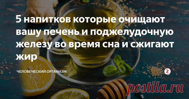 5 напитков которые очищают вашу печень и поджелудочную железу во время сна и сжигают жир | Человеческий организм | Яндекс Дзен