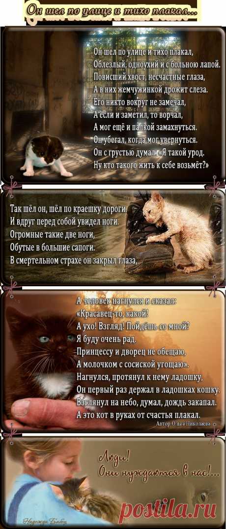 Он шел по улице и тихо плакал.