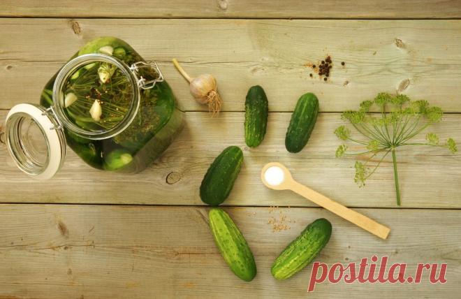 ТОНКОСТИ ДОМАШНЕГО КОНСЕРВИРОВАНИЯ И МАРИНОВАНИЯ ОГУРЦОВ, ЧТОБЫ БЫЛО ВКУСНО И ХРУСТЕЛИ