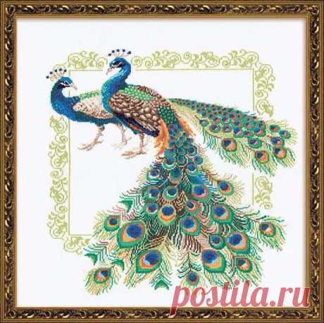 ___ПТИЦЫ | Записи в рубрике ___ПТИЦЫ | Дневник RitaVoytik