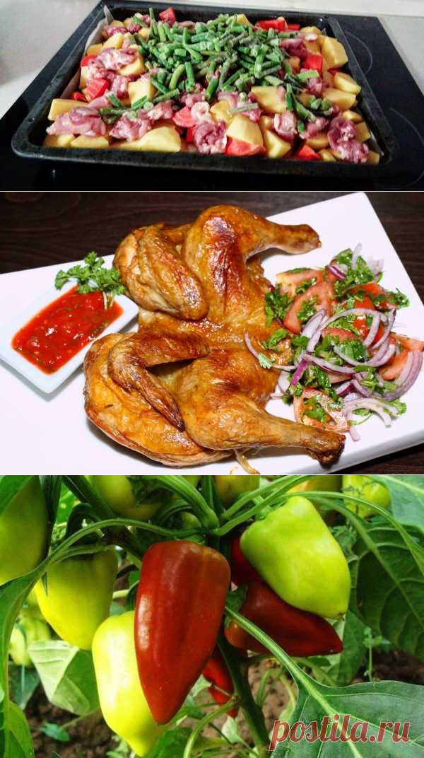 владимир славкин на Postila