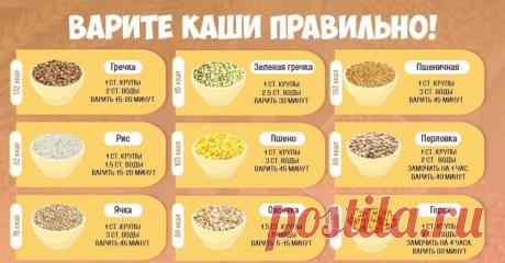 мастер классы как варить каши: 7 тыс изображений найдено в Яндекс.Картинках