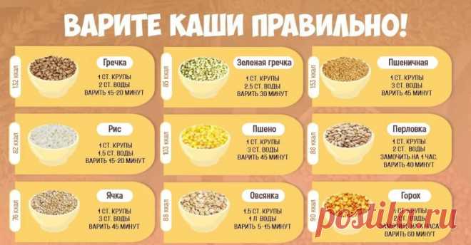 мастер классы как варить каши: 7 тыс изображений найдено в Яндекс.Картинках