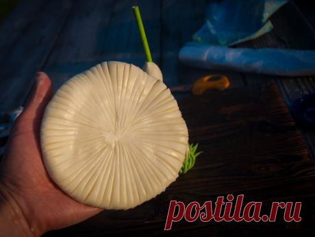 Как сделать неубиваемую садовую фигурку. Можно мыть, кидать, а ей ничего не будет - проверено😉👌 | Живые вещи | Яндекс Дзен