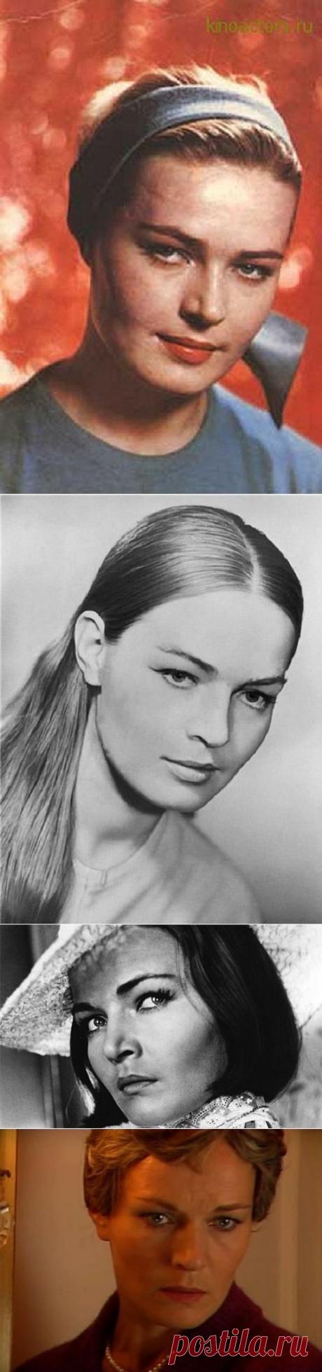 Чурсина Людмила Алексеевна