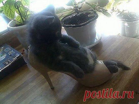 Туфелька подошла, теперь надо дождаться принца..)))