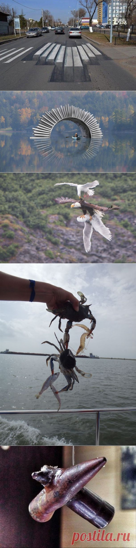 18 доказательств того, что наша планета полна чудес