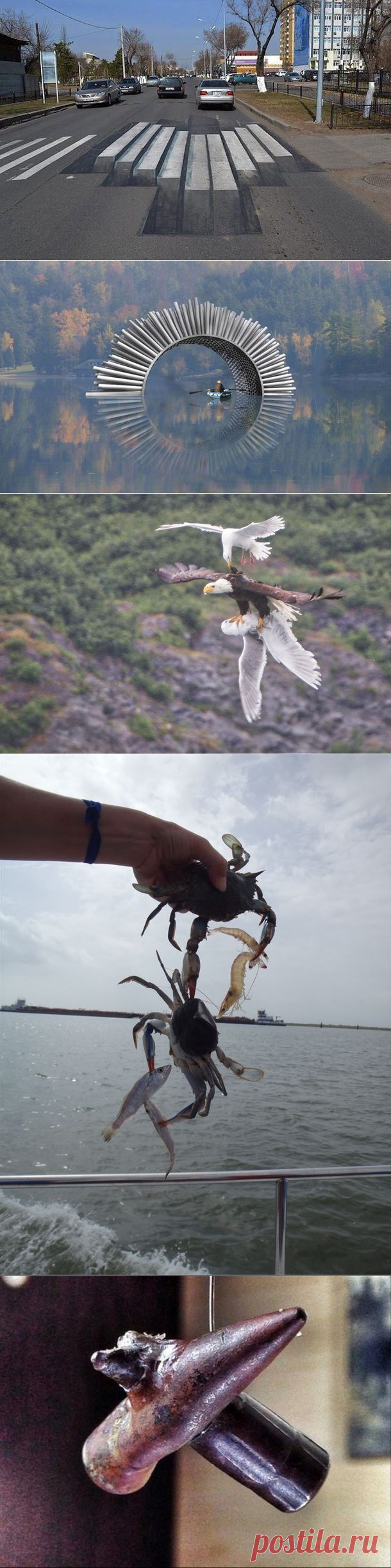 18 доказательств того, что наша планета полна чудес