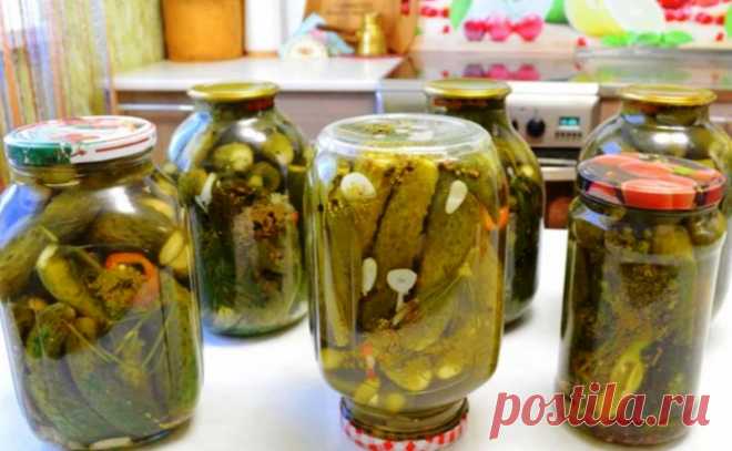 Огурцы МОЛОДЕНОВСКИЕ без уксуса! Вкусные хрустящие ядреные огурцы Моем огурцы, отрезаем хвостики, в банку перекладываем приправы, рецепт будет написан ниже...