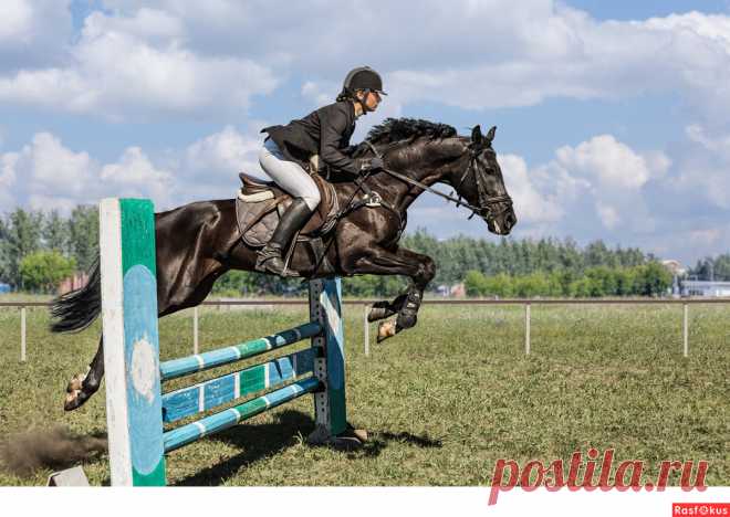 Фото: Конкур. Фотограф Сан Саныч. Спорт - Фотосайт Расфокус.ру