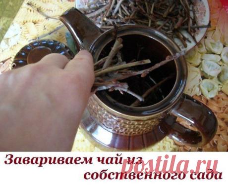 Ольга Клинова