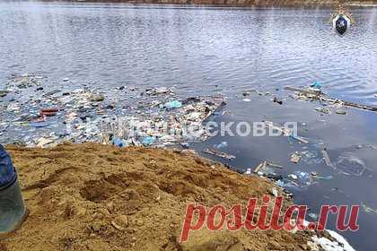Экологии Подмосковья нанесли ущерб на десятки миллионов рублей