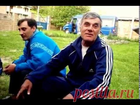 Сказка Муха-Цокотуха для взрослых