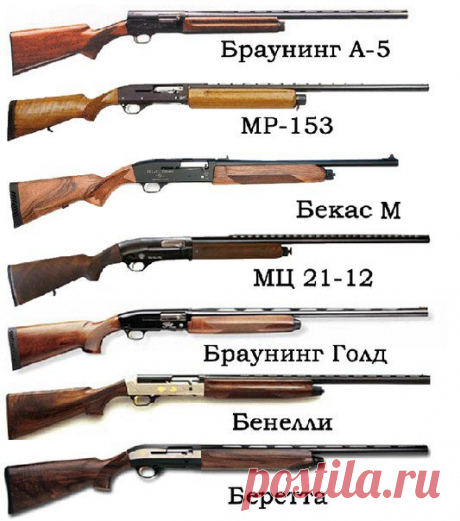 Выбираем первое охотничье ружье / Богатая добыча