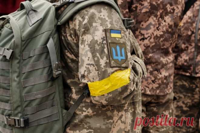 Литовкин: украинские женщины станут снайперами, артиллеристами и танкистами. Эксперт считает, что в ВСУ женщинами просто заполнят какие-то бреши в личном составе.