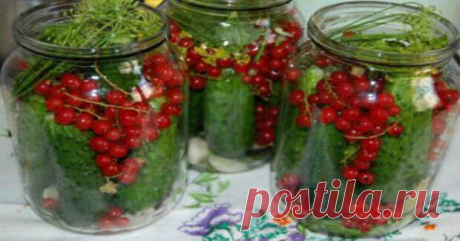 ЛУЧШИЕ ЗАГОТОВКИ ИЗ ОГУРЦОВ — 21 РЕЦЕПТ! - Женский журнал - медиаплатформа МирТесен Рецепты соленых, малосольных, маринованных огурцов, заготовок для супа и салатов на зиму. Попробуйте приготовить по нашим рецептам.1. Кисло-сладкие маринованные огурцы в микроволновке ИнгредиентыПолучается : 1 700 г банка 1-2 крупных огурца, нарезать ломтиками1 ч.л. соли&lt;br...