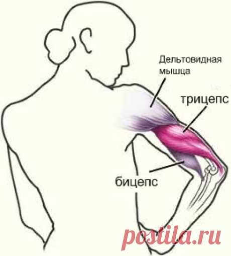 Дряблые руки? Гимнастика для рук поможет!