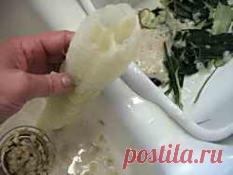 Люффа, как вырастить и сделать натуральную мочалку | Дача - впрок