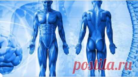 Новости - МирТесен